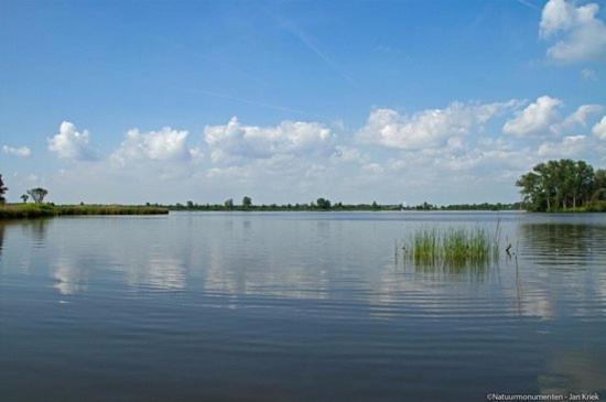 Froukje'S B&B Woerdense Verlaat Bagian luar foto
